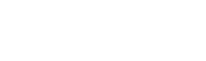 Stayler Logo